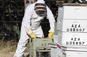 Fort Rock Farms Honey